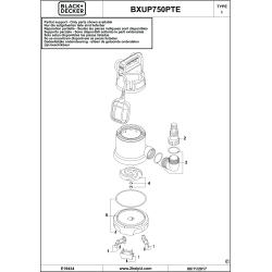 BXUP750PTE Type 1 Pump