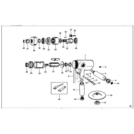 AP240V Type 1 Polisher