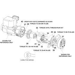 GBFE6010 Type 0 G 6000w 11hp B&s