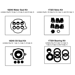 EXB2525ES Type 0 P 2500psi 2.5gpm 6.0hp H