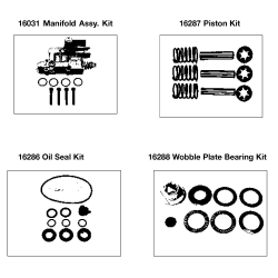 WGV2021 Type 0 P 2000psi 2.0gpm 6.0hp B&