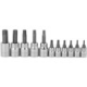 89-420 Tipo 1 St Bits 11pc Torx