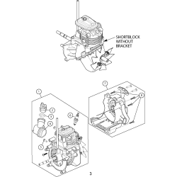 316.731934 Type 0 Gas Trimmer