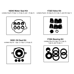 D2400H Tipo 0 P 2400psi 2.5gpm 5hp H Ho