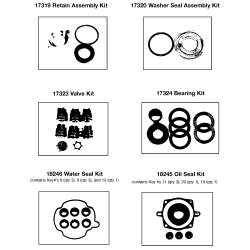 WGCH2225 Tipo 0 P 2200psi 2.5gpm 5.0hp Ho