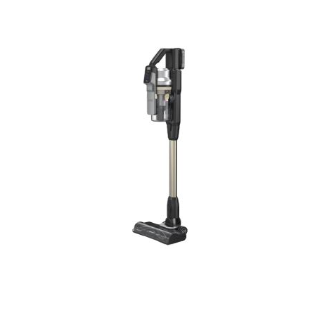 BSV525BLP Type 1 Stick-vac