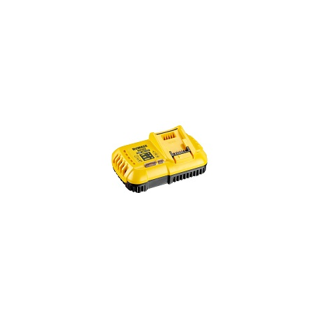 DCB118-QW Type 1 Battery Charger